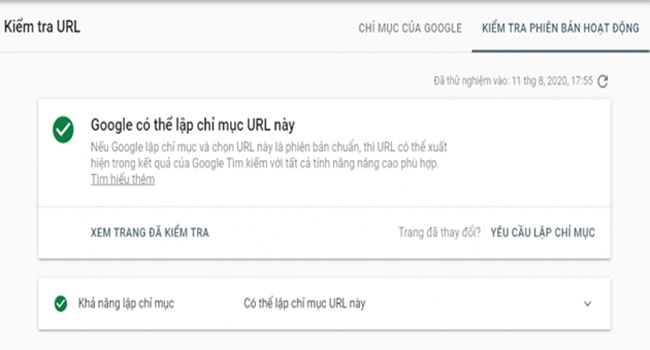 URL đã được Google Index